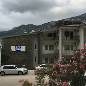 Zeus Turunç